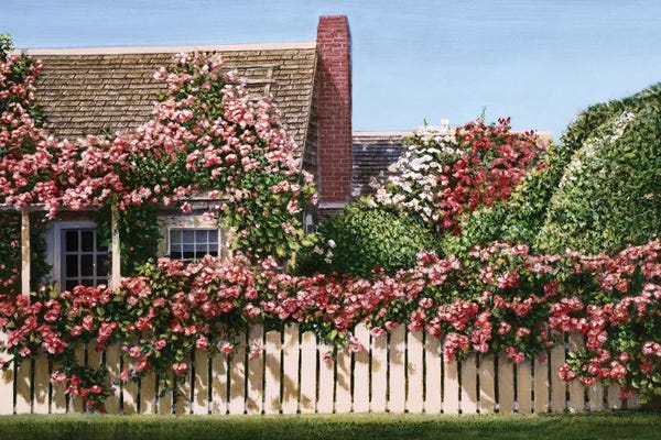 Tom Mielko: Nantucket Roses by Tom Mielko