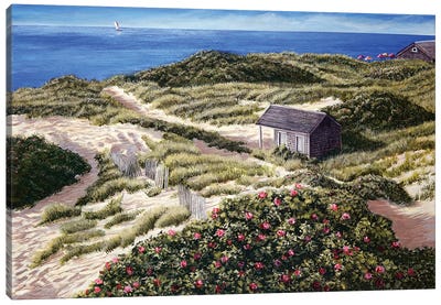 Steps Beach Canvas Art Print - Coastal Sand Dune Art