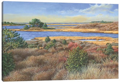 Autumn View Canvas Art Print - Marsh & Swamp Art