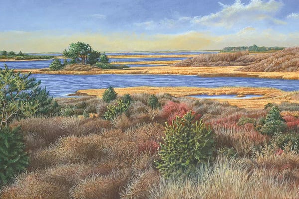 Tom Mielko: Autumn View by Tom Mielko