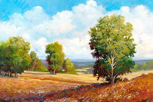 Landscape I