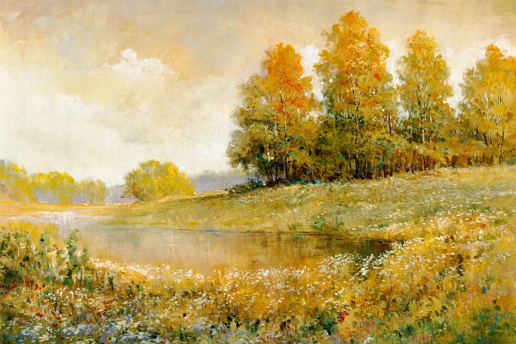 Landscape II by Tim Johnson wall art