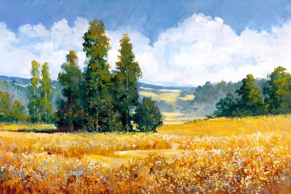 Grasses: Landscape III by Tim Johnson