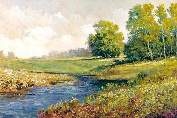 Landscape IV by Tim Johnson wall art
