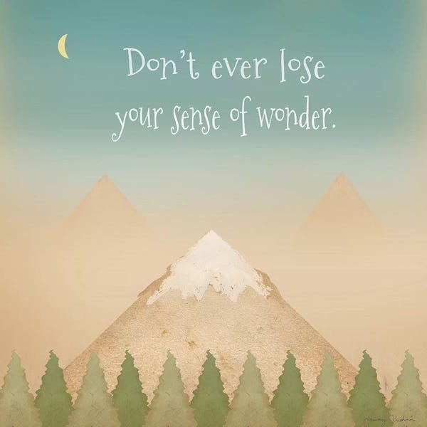 Exploration: Sense Of Wonder II by Tammy Kushnir