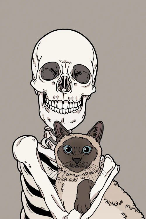 Siamese Cat Friend