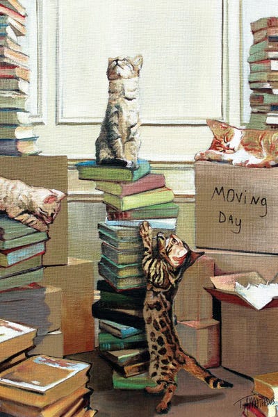 Sleeping & Napping: Moving Day by Timothy Adam Matthews