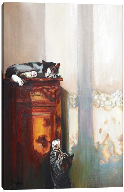 Sunset Kittys Canvas Art Print - Timothy Adam Matthews