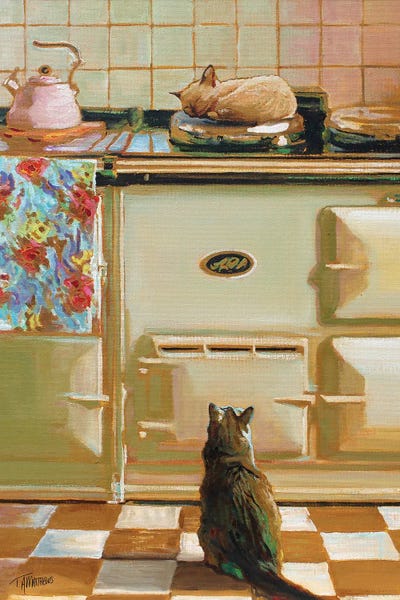 Aga Kittys