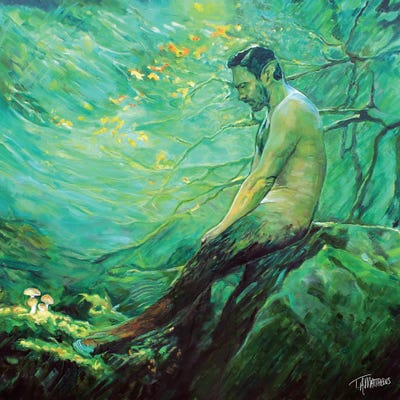 Fallen Faun by Timothy Adam Matthews metal wall art