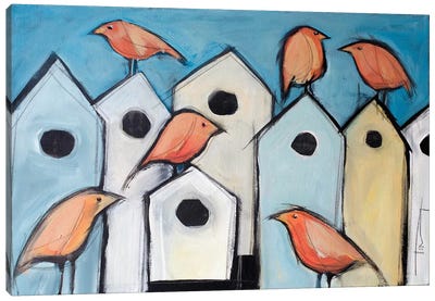 Bird Condos Canvas Art Print - Tim Nyberg
