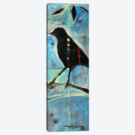 Blackbird On Branch Canvas Print #TNG219} by Tim Nyberg Canvas Art Print