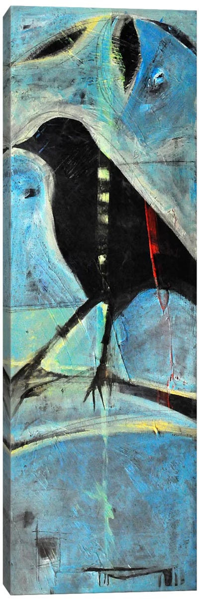 Blackbird On Branch Canvas Art Print - Raven Art