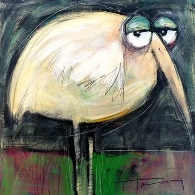 Rotund Bird by Tim Nyberg framed wall art