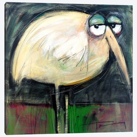 Rotund Bird Canvas Print #TNG266} by Tim Nyberg Canvas Print