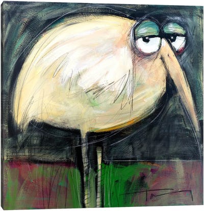 Rotund Bird Canvas Art Print - Tim Nyberg