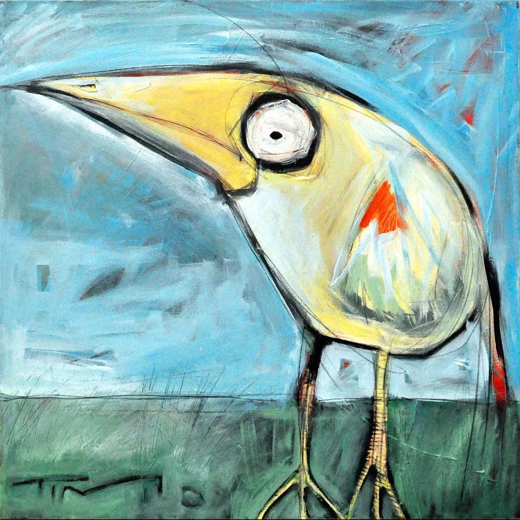 Snipe by Tim Nyberg wall art