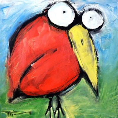 Steve by Tim Nyberg framed wall art