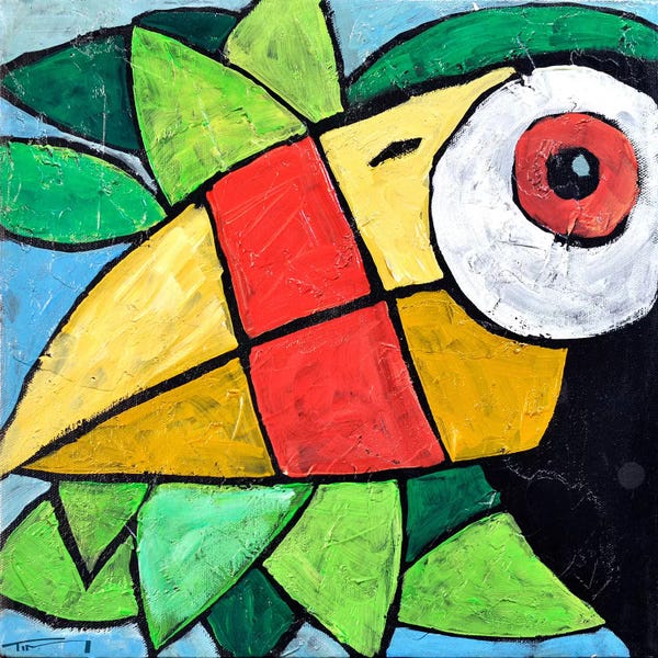Tim Nyberg: Toucan by Tim Nyberg