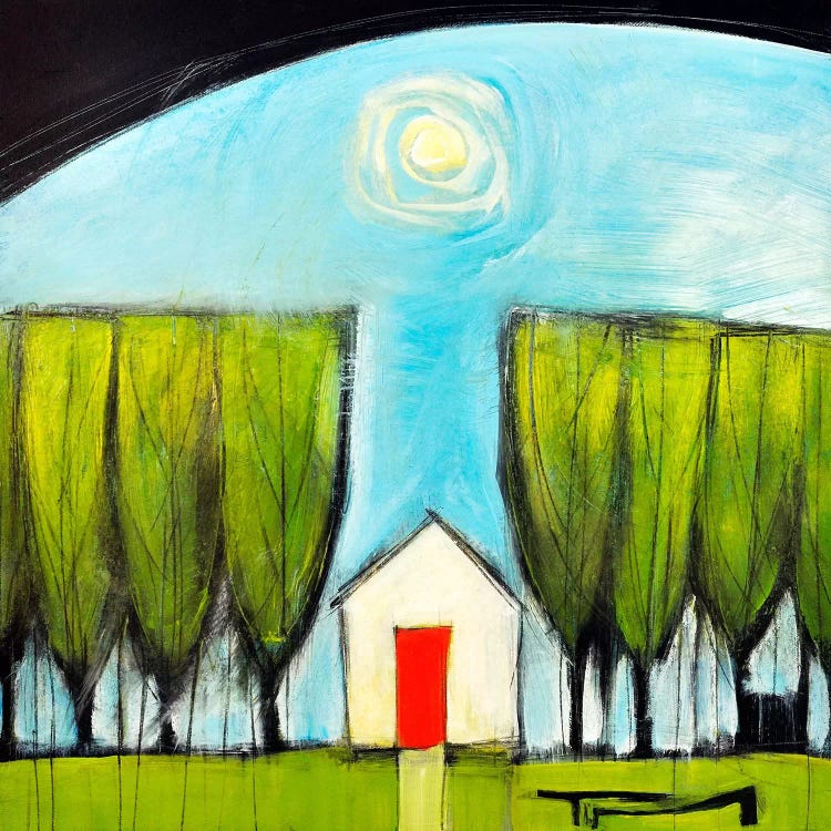 Yellow House Red Door by Tim Nyberg wall art