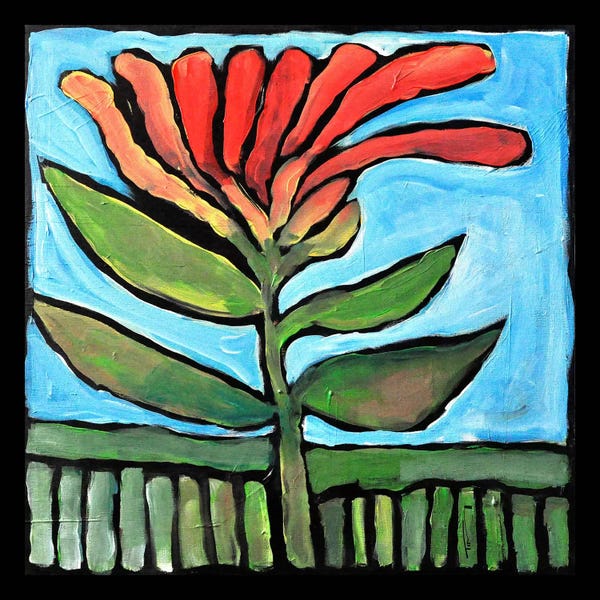 Tim Nyberg: Flower by Tim Nyberg