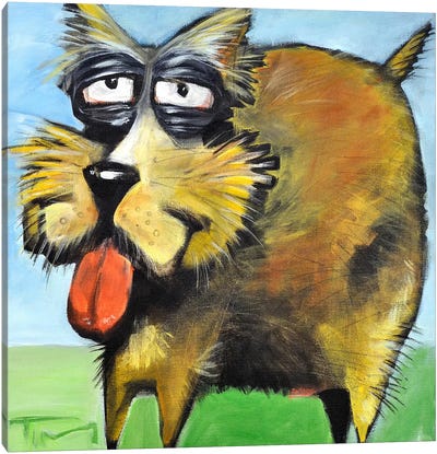 Murphy Stout Dog Canvas Art Print - Tim Nyberg