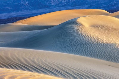 Mesquite Sand Dunes. Death Valley, California I by Tom Norring framed wall art