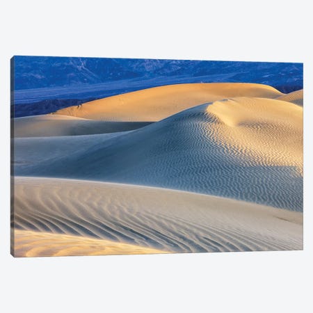 Mesquite Sand Dunes. Death Valley, California I Canvas Print #TNO10} by Tom Norring Canvas Wall Art