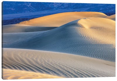 Mesquite Sand Dunes. Death Valley, California I Canvas Art Print - Death Valley National Park Art