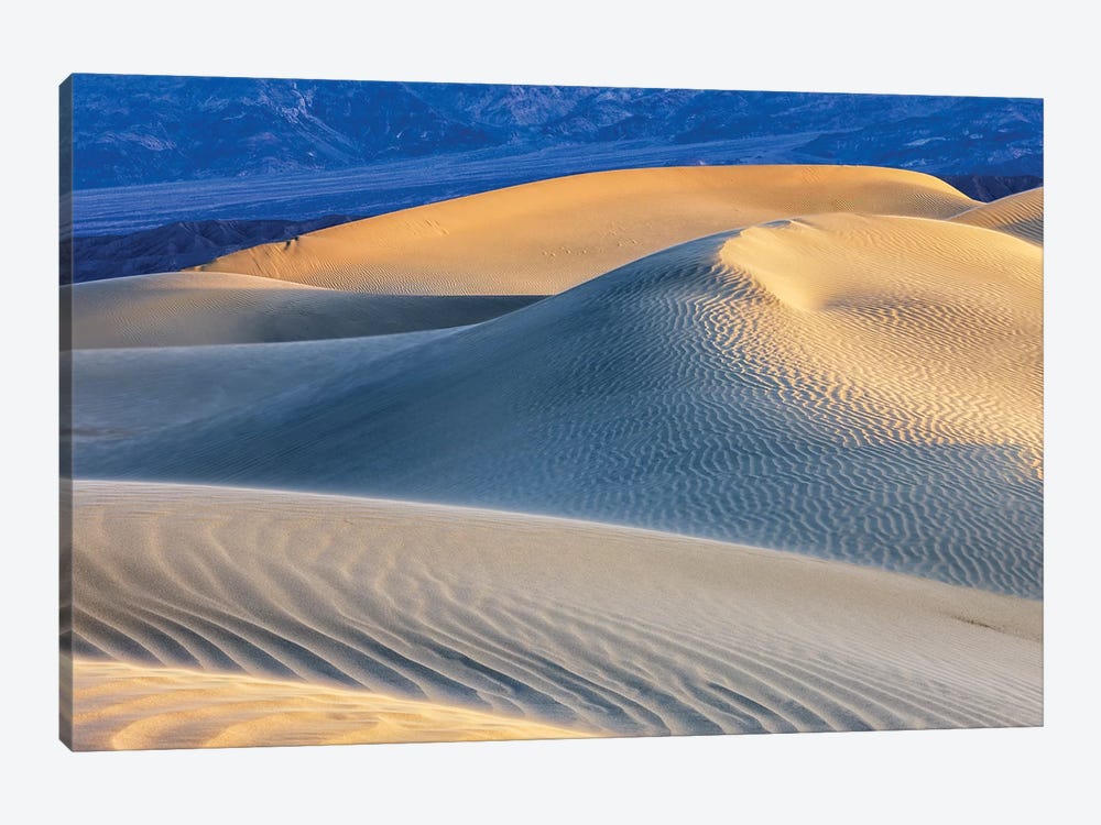 Mesquite Sand Dunes. Death Valley, California I by Tom Norring 1-piece Canvas Art