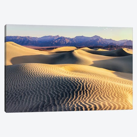 Mesquite Sand Dunes. Death Valley. California II Canvas Print #TNO11} by Tom Norring Canvas Art