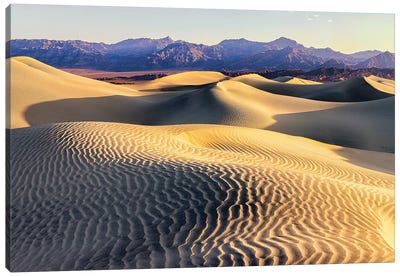 Mesquite Sand Dunes. Death Valley. California II Canvas Art Print - Death Valley National Park
