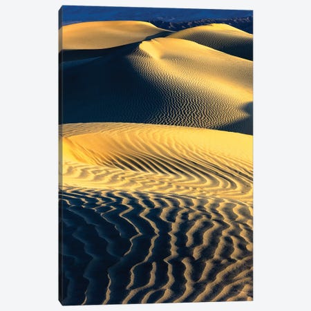Mesquite Sand Dunes. Death Valley. California III Canvas Print #TNO12} by Tom Norring Canvas Artwork