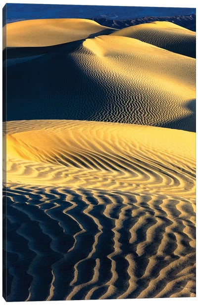 Mesquite Sand Dunes. Death Valley. California III Canvas Art Print