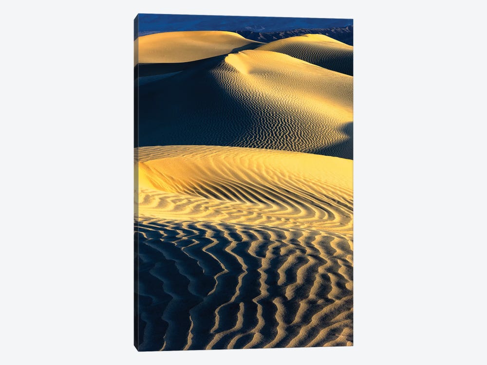 Mesquite Sand Dunes. Death Valley. California III by Tom Norring 1-piece Canvas Wall Art