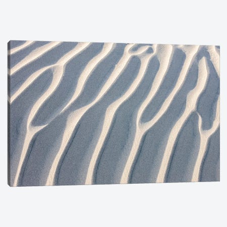 Sandy Waves. Mesquite Sand Dunes. Death Valley, California. Canvas Print #TNO17} by Tom Norring Art Print