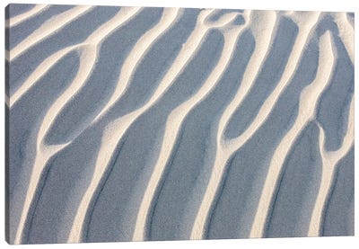 Sandy Waves. Mesquite Sand Dunes. Death Valley, California. Canvas Art Print - Coastal Sand Dune Art