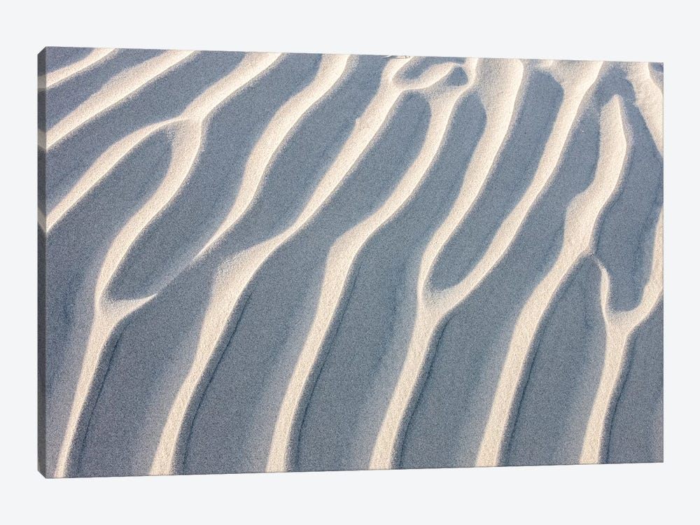 Sandy Waves. Mesquite Sand Dunes. Death Valley, California. by Tom Norring 1-piece Art Print