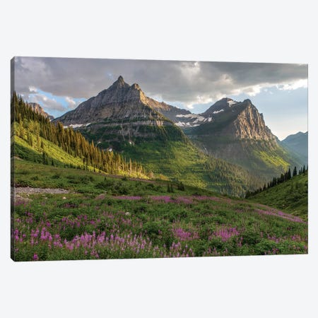 Wildflowers and Mountains. Glacier National Park, Montana, USA. Canvas Print #TNO18} by Tom Norring Canvas Artwork