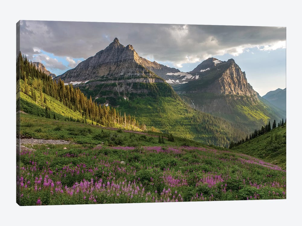 Wildflowers and Mountains. Glacier National Park, Montana, USA. by Tom Norring 1-piece Canvas Wall Art