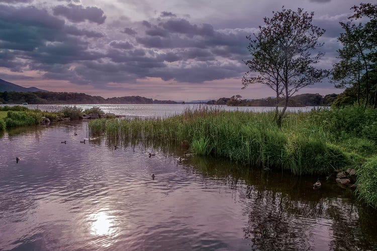 County Kerry. Killarney National Park. Ireland. Sunset Over Lake. Unesco Biosphere Reserve.