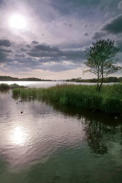 County Kerry. Killarney National Park. Ireland. Sunset Over Lake. Unesco Biosphere Reserve. by Tom Norring metal wall art