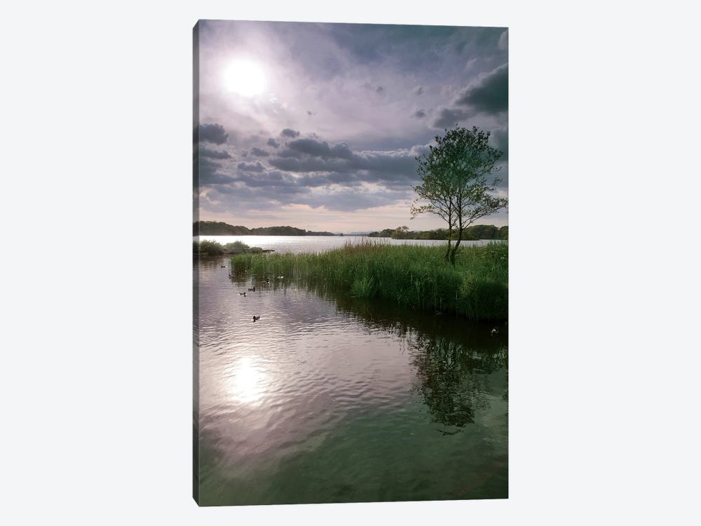 County Kerry. Killarney National Park. Ireland. Sunset Over Lake. Unesco Biosphere Reserve. by Tom Norring 1-piece Canvas Print