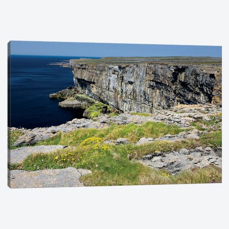 Inishmore Island. Aran Islands. Ireland. Limestone Sea Cliffs. Atlantic Coast. Flowers On Rocks Canvas Print #TNO27} by Tom Norring Canvas Art