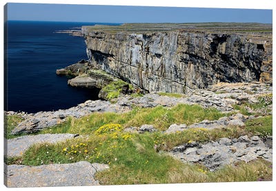 Inishmore Island. Aran Islands. Ireland. Limestone Sea Cliffs. Atlantic Coast. Flowers On Rocks Canvas Art Print - Ireland Art