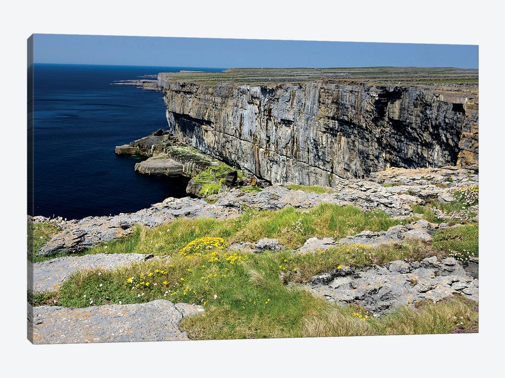 Inishmore Island. Aran Islands. Ireland. Limestone Sea Cliffs. Atlantic Coast. Flowers On Rocks by Tom Norring 1-piece Canvas Art