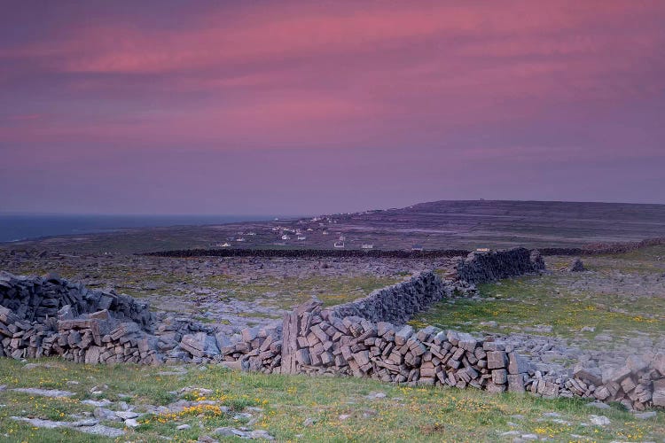 Inishmore Island. Aran Islands. Ireland. Limestone Sea Cliffs. Atlantic Coast. Karst Formations And Rock Walls. Sunset.