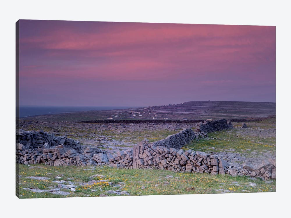 Inishmore Island. Aran Islands. Ireland. Limestone Sea Cliffs. Atlantic Coast. Karst Formations And Rock Walls. Sunset. by Tom Norring 1-piece Canvas Art Print