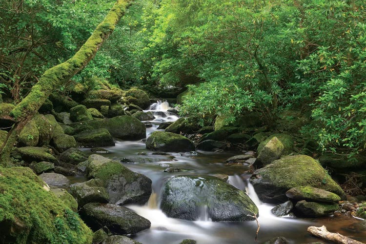 Killarney National Park, County Kerry, Ireland. Torc Waterfall.