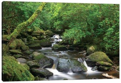 Killarney National Park, County Kerry, Ireland. Torc Waterfall. Canvas Art Print